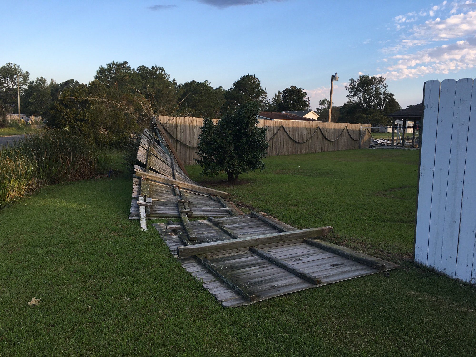 Hurricane. Fence down.